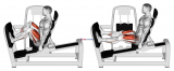 Lever Seated Wide Squat
