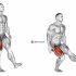 Sled One Leg Hack Squat