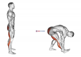 Runners Stretch