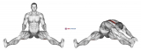 Seated Wide Angle Pose Sequence