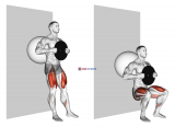 Weighted Exercise Ball Wall Squat