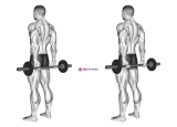 Barbell Behind Back Finger Curl