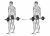 Barbell Behind Back Finger Curl