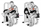 Lever Preacher Curl (version 2)