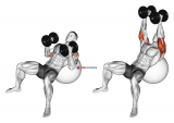 Dumbbell Incline Hammer Press on Exercise Ball