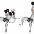 Dumbbell Incline One Arm Hammer Press