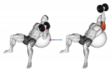 Dumbbell Incline One Arm Hammer Press on Exercise Ball