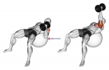 Dumbbell One Arm Hammer Press on Exercise Ball