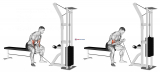 Cable Concentration Curl