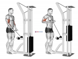 Cable Drag Curl