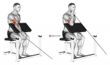 Cable One Arm Preacher Curl