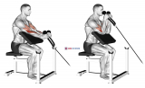 Cable Rope Hammer Preacher Curl