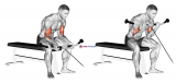 Cable Seated Curl