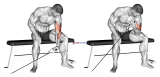 Cable Seated One Arm Concentration Curl