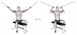 Cable Seated Overhead Curl