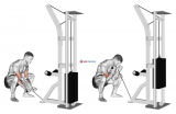 Cable Squatting Curl