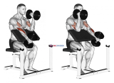Dumbbell Alternate Hammer Preacher Curl