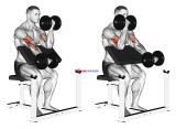 Dumbbell Alternate Preacher Curl