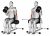 Dumbbell Alternate Seated Hammer Curl