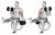Dumbbell Alternating Bicep Curl with Leg Raised on Exercise Ball
