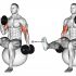 Dumbbell Alternate Seated Hammer Curl