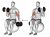 Dumbbell Alternating Seated Bicep Curl on Exercise Ball