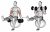 Dumbbell Bicep Curl on Exercise Ball with Leg Raised