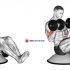 Dumbbell Biceps Curl Squat