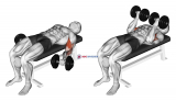 Dumbbell Lying Supine Biceps Curl