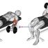 Band High Knee Lunge with Single Arm Row