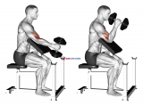 Dumbbell One Arm Hammer Preacher Curl