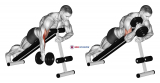 Dumbbell One Arm Prone Hammer Curl