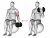 Dumbbell One Arm Seated Bicep Curl on Exercise Ball