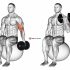 Dumbbell One Arm Reverse Spider Curl