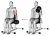 Dumbbell One Arm Seated Hammer Curl