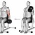 Dumbbell One Arm Standing Curl