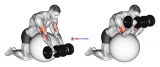 Dumbbell Preacher Curl over Exercise Ball