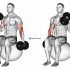 Dumbbell Reverse Spider Curl