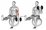 Dumbbell Seated One Arm Bicep Curl on Exercise Ball with Leg Raised