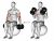 Dumbbell Two Arm Seated Hammer Curl on Exercise Ball