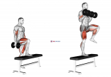 Dumbbell Step Up Single Leg Balance with Bicep Curl