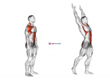 Posterior Step to Overhead Reach