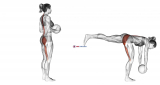 Dumbbell Overhead Side Lunge