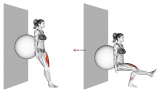 Stability Ball Single Leg Squat