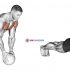 Dumbbell Push Press
