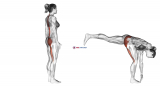 Single Leg Foot Touch