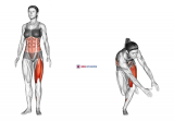 Single Leg Transverse Bend