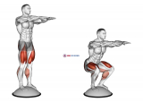 Squat On Bosu Ball