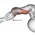 Prone Twist On Stability Ball