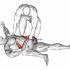 Assisted Lying Gluteus And Piriformis Stretch